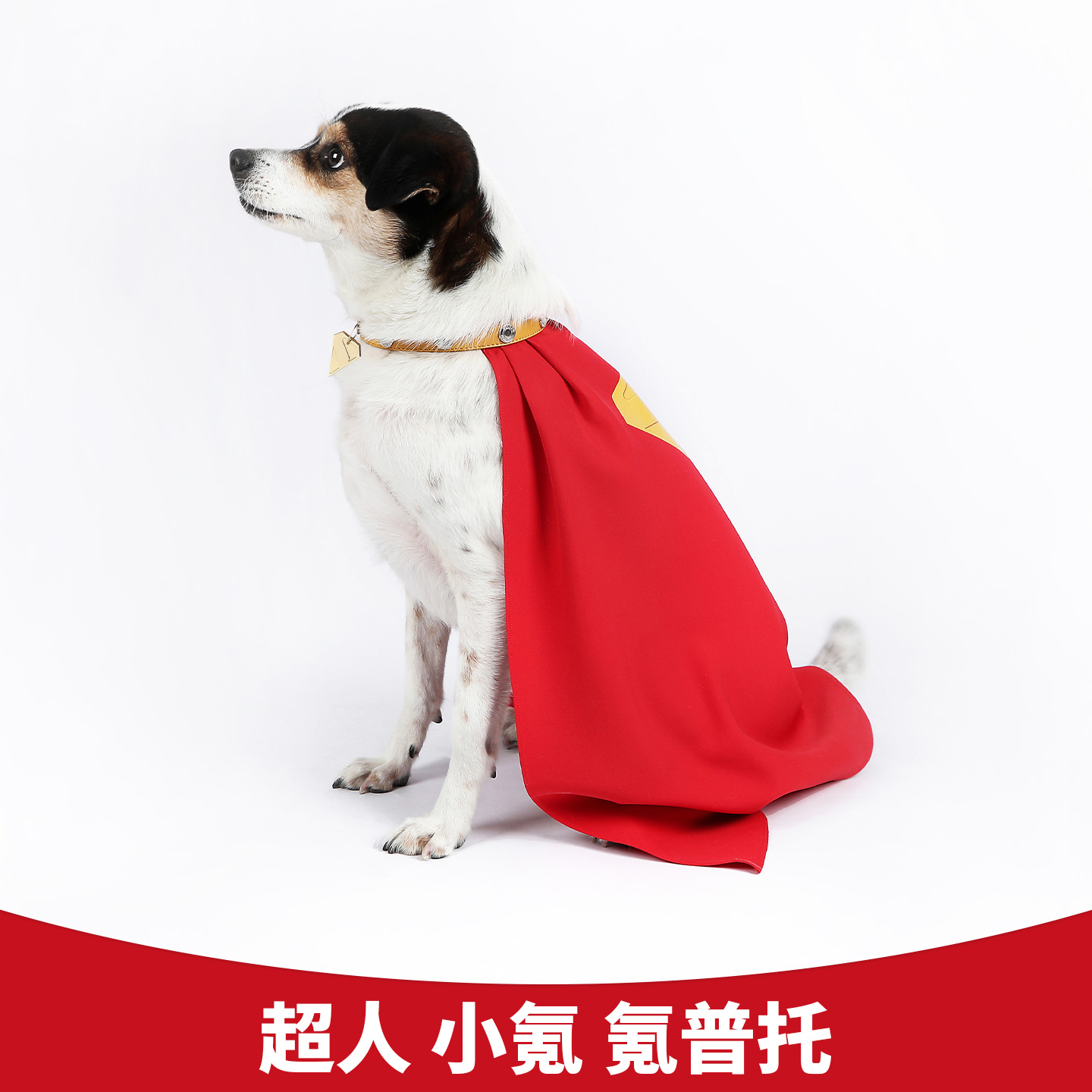 漫乐超人氪普托小狗项圈披风