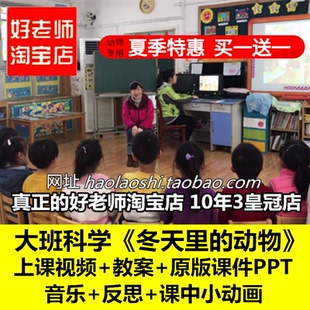 好老师淘宝店幼儿园面试大班科学《冬天里的动物》优质公开课ppt