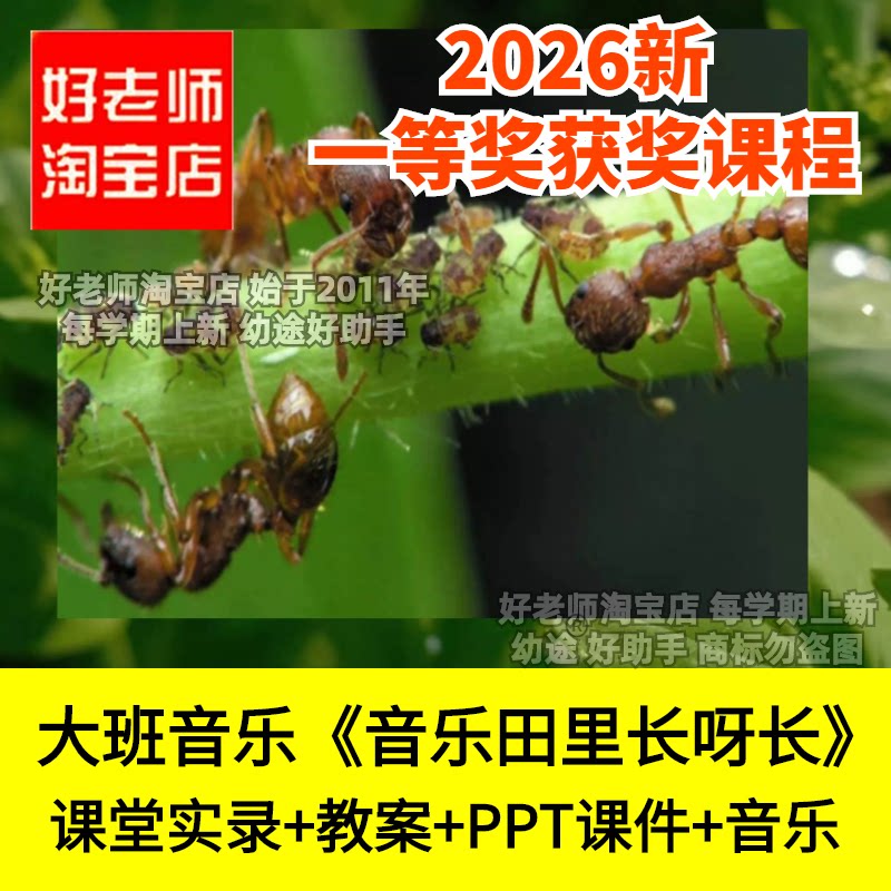 好老师淘宝店大班音乐音乐田里长呀长创编动作幼儿园优质公开课件