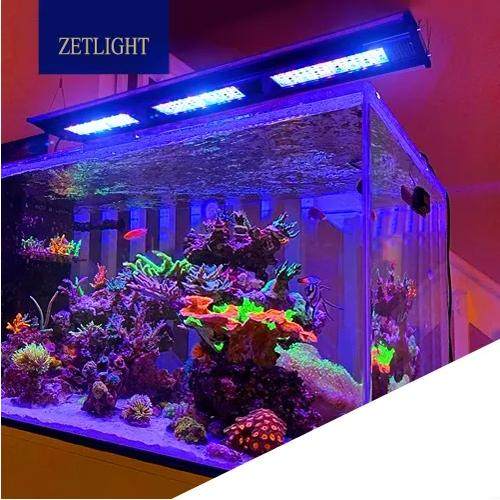 积光海水灯ZT6500C珊瑚灯