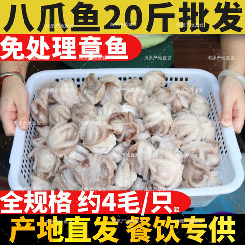 蚝蛋烧免处理三去八爪鱼鲜活冷冻芥末章鱼捞汁小海丸子酒店商用批