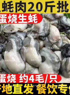 鲜活生蚝现剥生蚝肉18斤新鲜牡蛎肉蚝蛋烧去壳海蛎子肉捞汁批商用