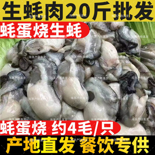 鲜活生蚝现剥生蚝肉18斤新鲜牡蛎肉蚝蛋烧去壳海蛎子肉捞汁批商用