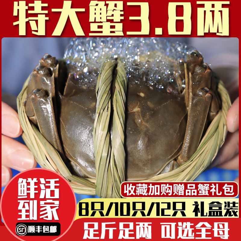 中秋礼盒10只公母大闸蟹礼盒装