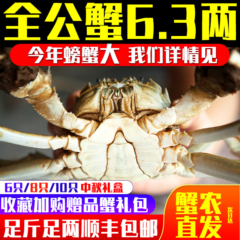 当季全公蟹家庭礼盒装