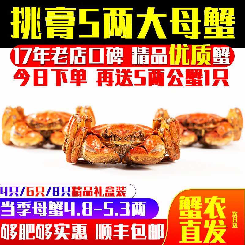 【四冠15年老店】余记大闸蟹鲜活螃蟹5.5两公蟹4.5母湖蟹8只河蟹