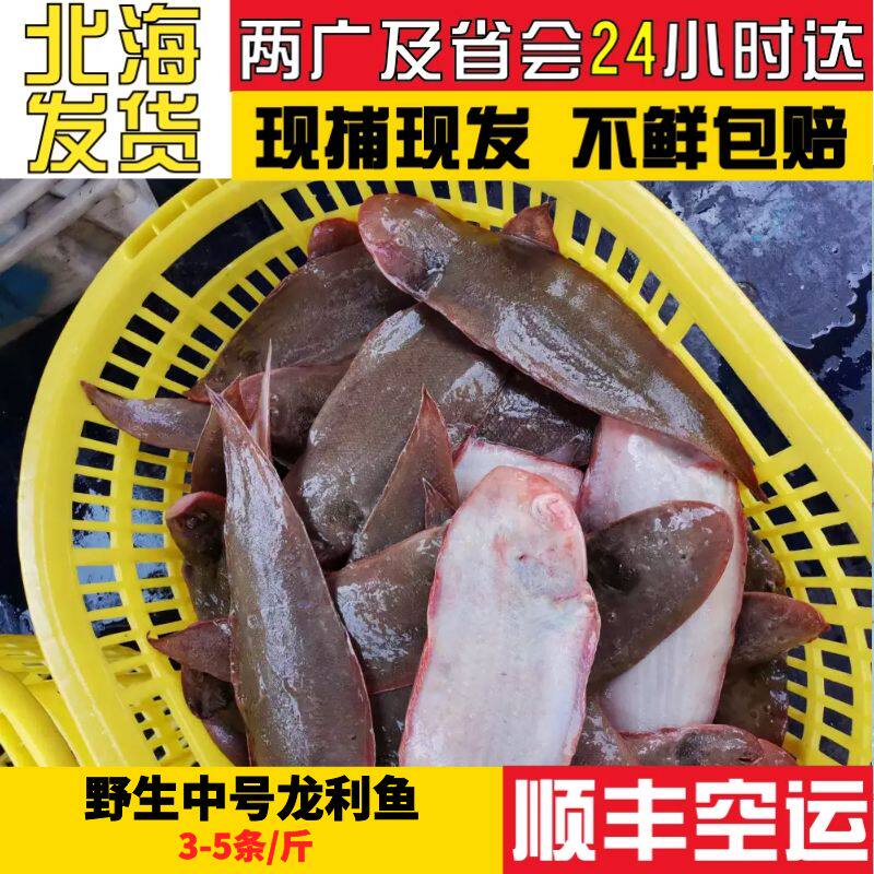 北海天然海捕中龙利鱼3-5条500g*3舌头鱼踏板鱼龙舌 非巴沙鱼水产