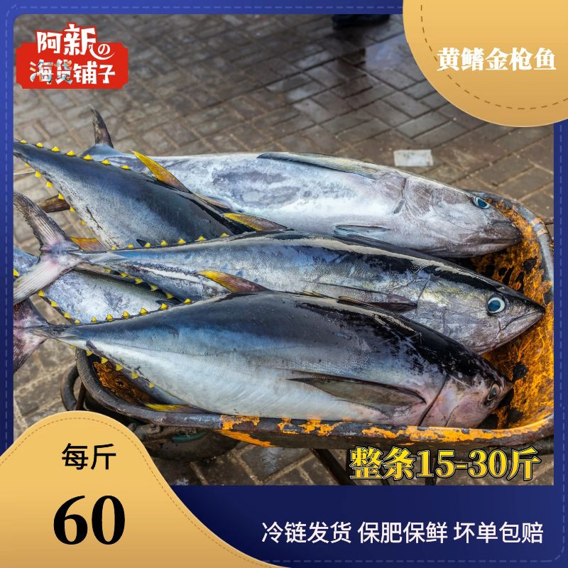新鲜整条黄鳍金枪鱼15-40斤海鱼日本料理刺身南海海钓