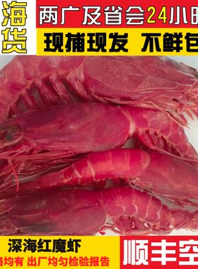 深海红魔虾 特大新鲜刺身甜虾-45°超低温保鲜阿根廷红虾大虾海鲜