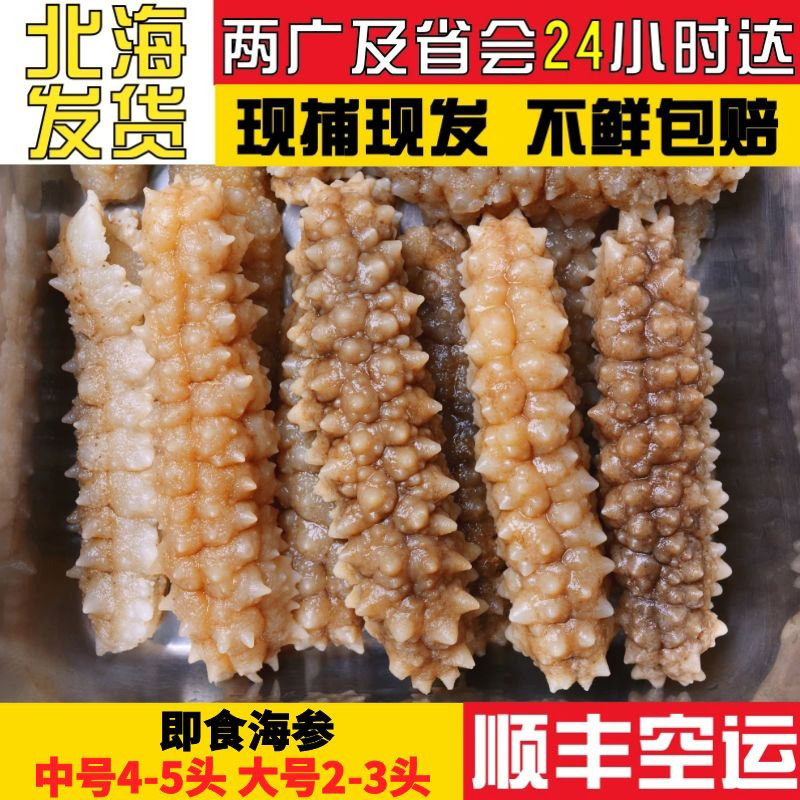 北海海参即食每斤3-5只 超大肥厚黄玉参冷冻海参无需泡发白玉参