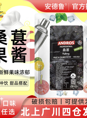 Andros安德鲁桑葚颗粒果酱1kg果茶冲饮烘焙原料奶茶店用果蓉冰沙