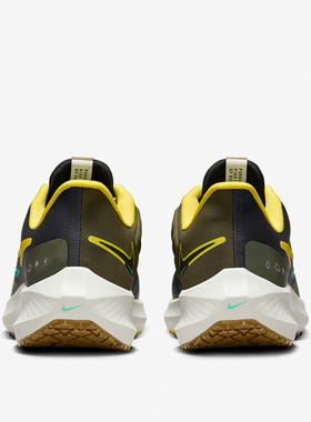 Nike/耐克官方正品Pegasus Shield男女轻便耐磨运动跑步鞋FV8107
