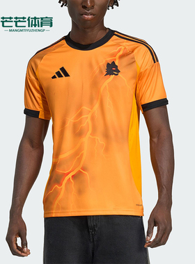 Adidas/阿迪达斯正品2025秋季款男士训练运动足球圆领短袖JJ4187