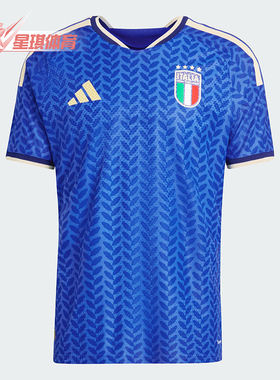 Adidas/阿迪达斯正品ITALY 26男女套头足球运动训练短袖JL6934