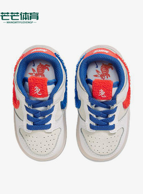 Nike/耐克正品冬季新款Dunk小童运动休闲鞋FD4625-161