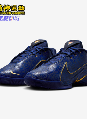Nike/耐克正品LeBron 22男士训练耐磨缓震运动篮球鞋HV5145-400