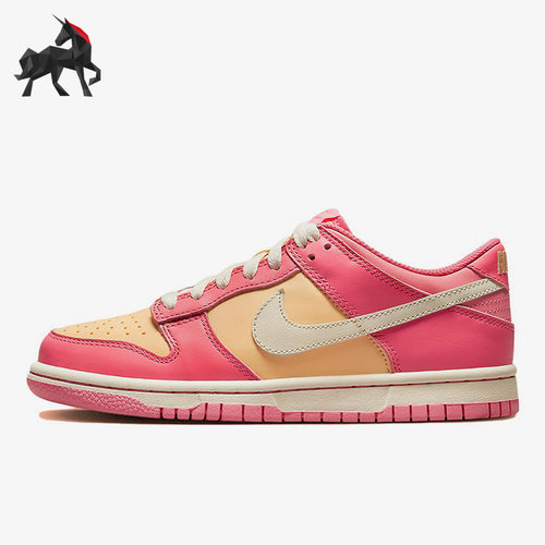 Nike/耐克正品大童复古板鞋
