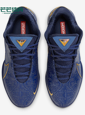 Nike/耐克正品LeBron XXII EP男士低帮户外篮球鞋HV5146-400