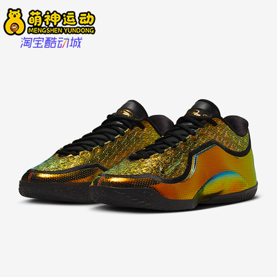 Nike/耐克正品2025冬季款男士日常时尚运动低帮篮球鞋IB9561-900