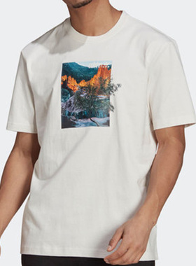 Adidas/阿迪达斯正品三叶草 夏季新款男女运动休闲T恤H09065