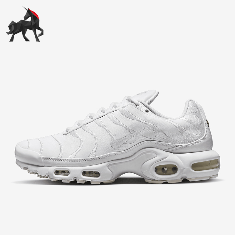 Nike/耐克正品Air Max Plus男士缓震运动跑步鞋AJ2029-100