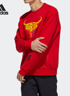 Adidas/阿迪达斯正品男子卫衣
