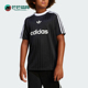Adidas JC7309 运动透气短袖 阿迪达斯正品 三叶草大童宽松休闲经典