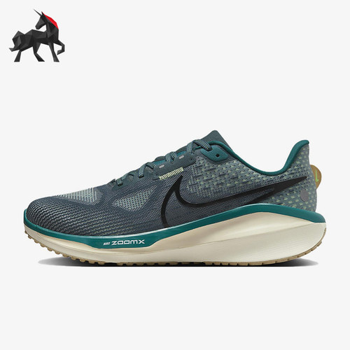 Nike/耐克男子低帮跑步鞋