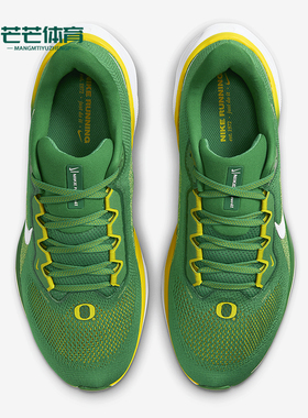 Nike/耐克正品Pegasus 41男士低帮运动减震耐磨跑步鞋FZ5138-300