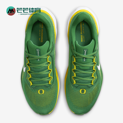 Nike/耐克正品Pegasus 41男士低帮运动减震耐磨跑步鞋FZ5138-300