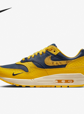 Nike/耐克正品新款男女气垫缓震运动跑步鞋FJ5479-410