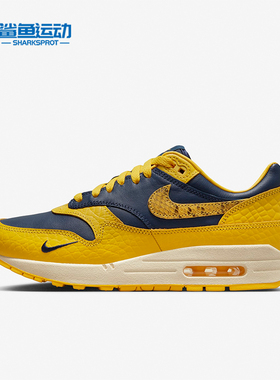 Nike/耐克正品防滑耐磨新款男女气垫缓震运动跑步鞋FJ5479-410