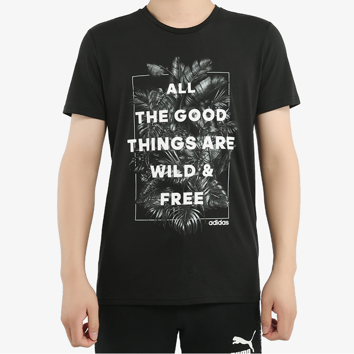 Adidas/阿迪达斯正品休闲男子M FAV TEE ART3圆领短T恤DW8196