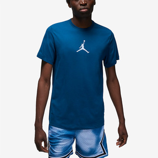 Nike JORDAN男子圆领针织印花轻便运动短袖 CW5191 427 耐克正品