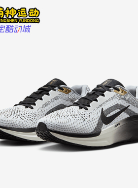 Nike/耐克正品Air Winflo 11 SE男士缓震跑步鞋HQ7975-100