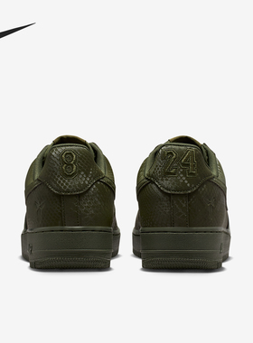 Nike/耐克官方正品2025秋季款男士蛇皮纹低帮耐磨板鞋IB0018-301