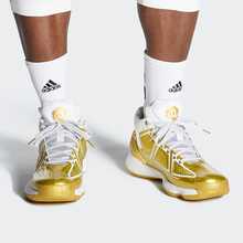 Adidas/阿迪达斯正品 男子D Rose 10 - Metallic罗斯篮球鞋FW9487
