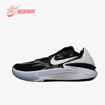 Nike/耐克正品Air Zoom男士经典减震运动低帮篮球鞋DX6650-002
