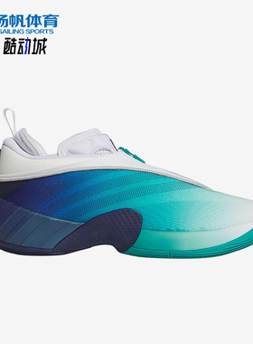 Adidas/阿迪达斯正品ShipingtoSaudiArabia新款经典篮球鞋JR9502