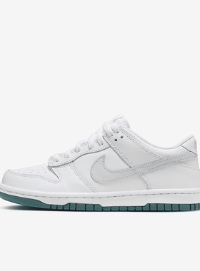 Nike/耐克正品新款Dunk Low 女子GS大童运动休闲滑板鞋FD9911-101