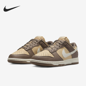 Nike/耐克正品运动女士低帮经典轻便系带复古板鞋DD1873-201