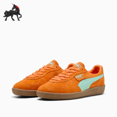 Puma/彪马正品男女休闲板鞋