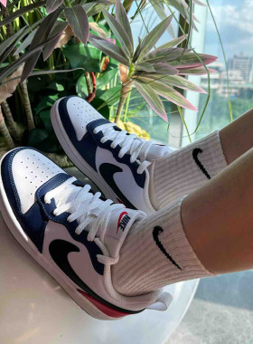 Nike/耐克 Court 红蓝拼接女子（GS）复古低帮休闲板鞋DO7446-101