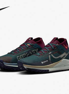 Nike/耐克正品Pegasus Trail 4女士缓震经典训练跑步鞋DJ7929-302