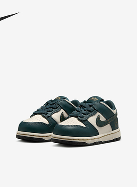 Nike/耐克正品Dunk Low 婴童运动复古低帮透气板鞋FB9107-301