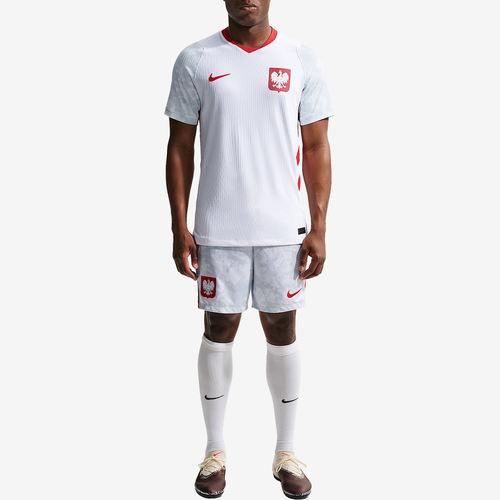 Nike耐克正品Poland Aero-FIT速干透气套头短袖足球IO8528-100