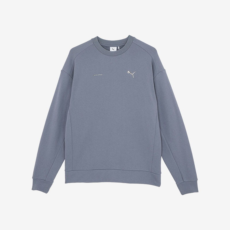 Puma/彪马正品2025男女金属感大象印花休闲圆领卫衣622907-92
