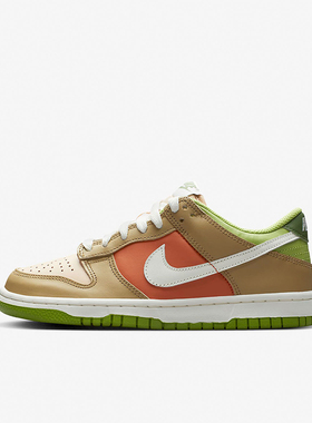 Nike/耐克正品秋冬季GS女子大童时尚拼接运动板鞋DV9108-711
