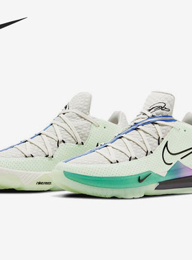 Nike/耐克正品LEBRON 17 詹姆斯17 男子篮球鞋 CD5006-005
