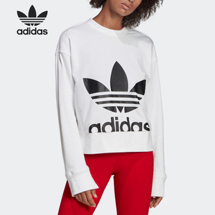 Adidas/阿迪达斯正品三叶草女子简约休闲圆领套头卫衣EC5777